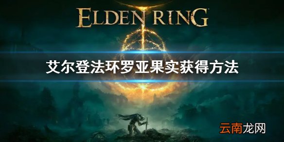艾尔登法环罗亚果实获得方法 老头环罗亚果实怎么获得