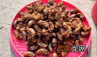 爬叉吃了有什么好处 爬叉有什么作用呢