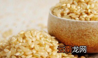 糙米饭的功效与禁忌 糙米饭的功效与禁忌简单介绍