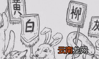 狐黄白柳灰常指的是什么 狐黄白柳灰常指的是哪些东西