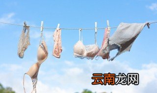 硅胶内衣怎么清洗 硅胶内衣清洗方法