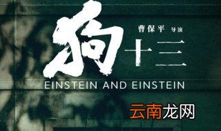 狗十三故事简介 狗十三故事简介是什么