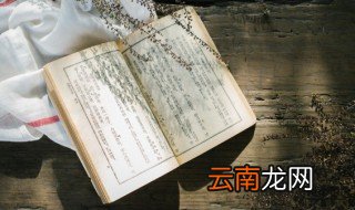 混血豺王讲的什么 混血豺王内容介绍