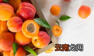 核果类水果有哪些 核果类水果的相关知识