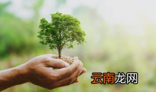 环保名言名句 地球环保名言名句