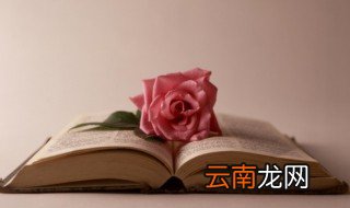 与美有关的名言名句 与美有关的名言名句有什么