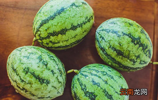 佛山有哪些特色水果 广东佛山特产