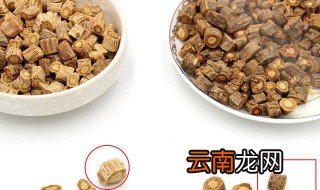 防风的4大功效与作用 多给你给讲几个