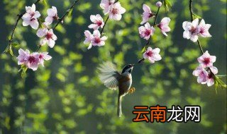 2022年春分会冷吗 2022年春分会不会冷