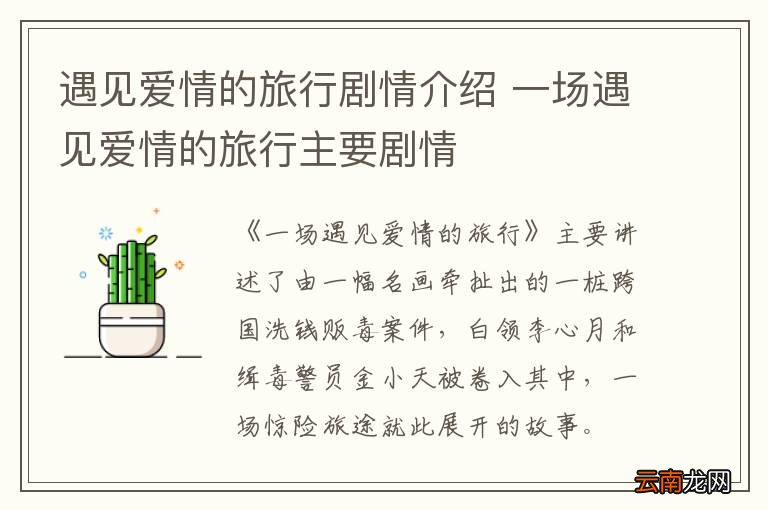 遇见爱情的旅行剧情介绍 一场遇见爱情的旅行主要剧情