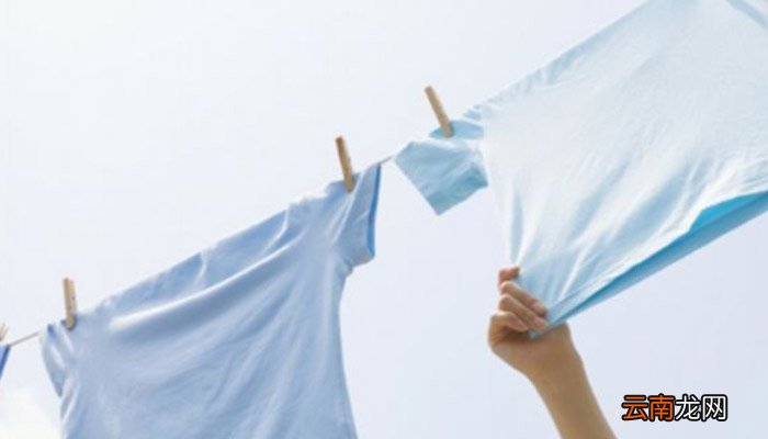 cec短袖是什么意思cec短袖指的是什么