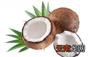 椰皇的功效 椰皇的营养价值
