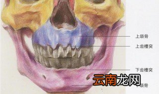 口角开裂是什么原因 来看看吧