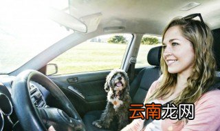 夏天慎防汽车自燃 夏季慎放三类物品预防汽车自燃