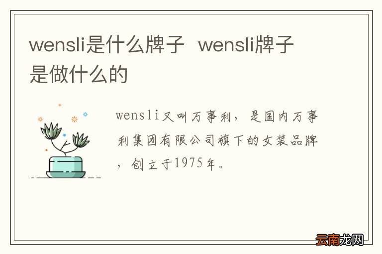 wensli是什么牌子wensli牌子是做什么的