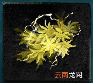 艾尔登法环富格布卢姆获得方法 老头环富格布卢姆获取