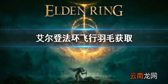 艾尔登法环飞行羽毛怎么获得？老头环飞行羽毛获取方法