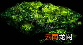 艾尔登法环洞穴苔藓怎么获得？老头环洞穴苔藓获取方法
