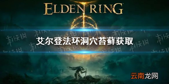 艾尔登法环洞穴苔藓怎么获得？老头环洞穴苔藓获取方法
