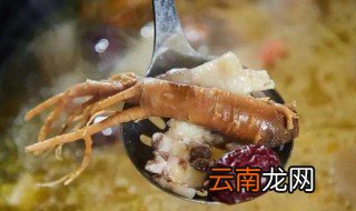 红参炖鸡的功效与作用 功效多多