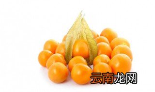 灯笼果的功效与禁忌 这你知道吗