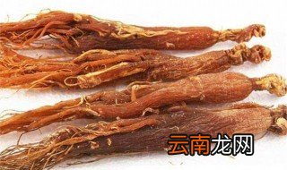 红参与人参的区别 模样习性都不同