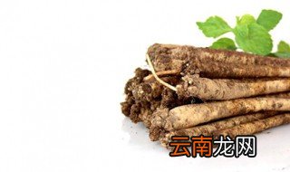 臭参的功效与作用 臭参的别名