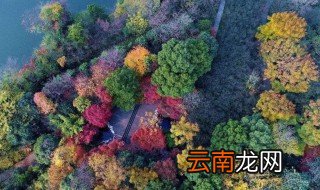 巴南彩色森林要门票吗 你知道需要多少吗