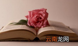 睁一只眼闭一只眼是什么意思 睁一只眼闭一只眼是啥意思