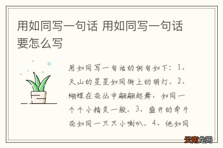 用如同写一句话 用如同写一句话要怎么写