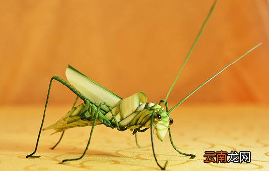 成都有哪些工艺品 成都特产