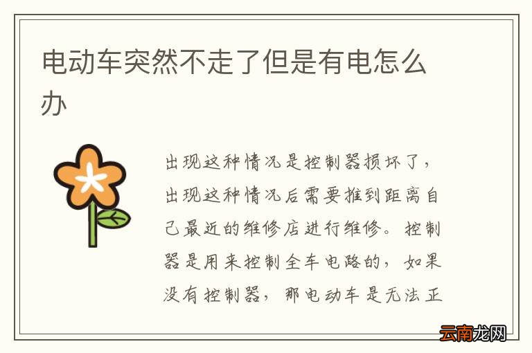 电动车突然不走了但是有电怎么办