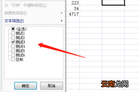 表格中怎么筛选出自己想要的内容