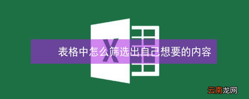 表格中怎么筛选出自己想要的内容