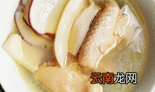 响螺海底椰的做法 原来是这样做的