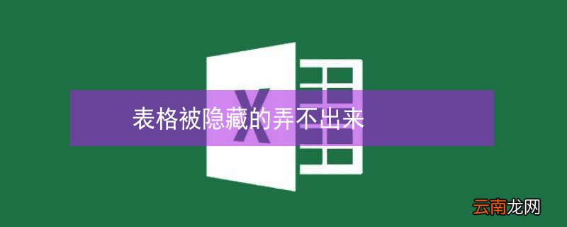 表格被隐藏的弄不出来
