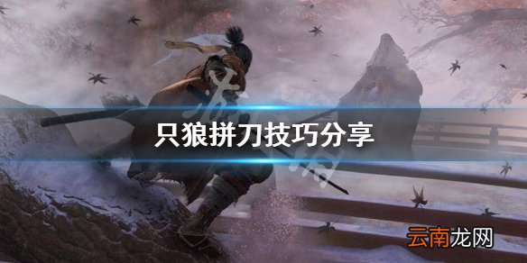 只狼怎么拼刀 只狼拼刀技巧分享