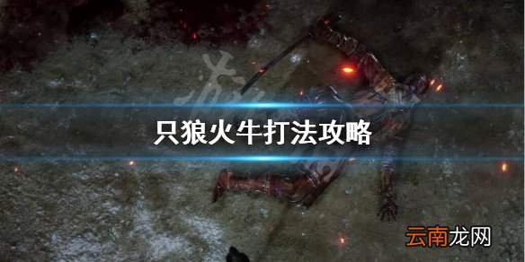 只狼火牛怎么打 只狼火牛打法攻略