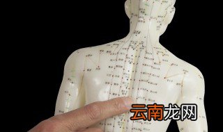 按内关穴最佳时间 没事可按按的