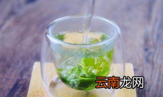 什么人不能喝桑叶泡水 喝桑叶茶的禁忌
