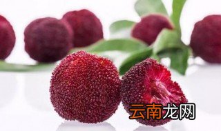 杨梅怎么清洗 你还直接吃杨梅吗