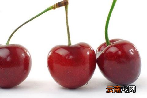 心形车厘子是什么品种