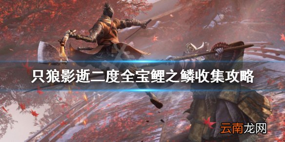 只狼影逝二度宝鲤之鳞怎么获得 只狼全宝鲤之鳞收集攻略