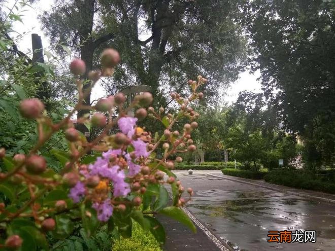 端午节给娃系五彩绳的时间，还有什么时候丢？家长提前了解下