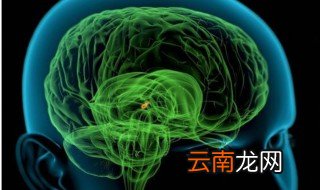 松果体开启方法 超有趣的方法