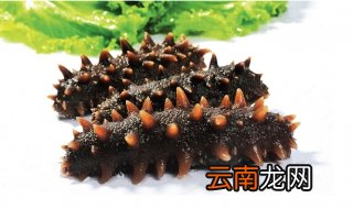 海参的功效是什么,适合经常吃么?