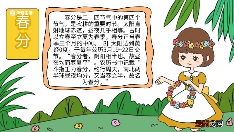 春分手抄报简单又漂亮大全 春分手抄报简单又漂亮