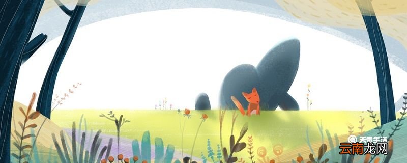狐狸和猫的故事告诉我们什么道理 狐狸和猫概括道理