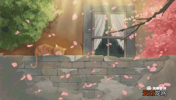狐狸和猫的故事告诉我们什么道理 狐狸和猫概括道理