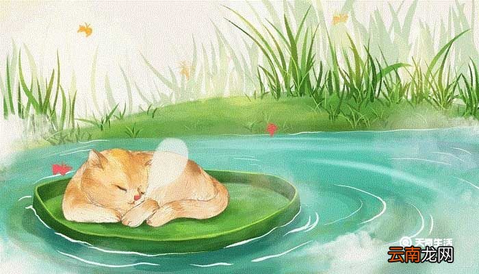 狐狸和猫的故事告诉我们什么道理 狐狸和猫概括道理